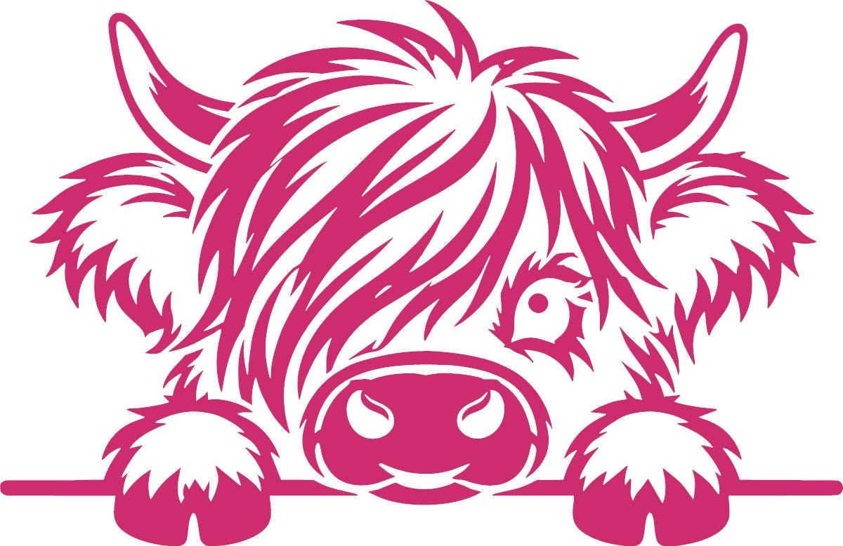Highland cow vinyl decal product image 4