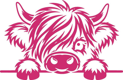 Highland cow vinyl decal product image 4