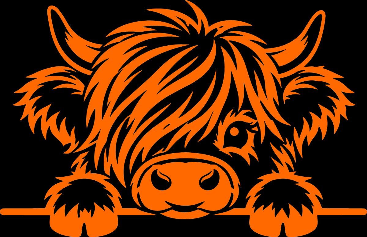 Highland cow vinyl decal product image 6